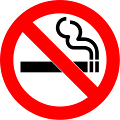 No Smoking Icon
