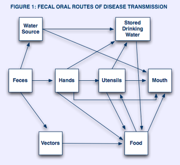 IMAGE: Hep A routes of transmission