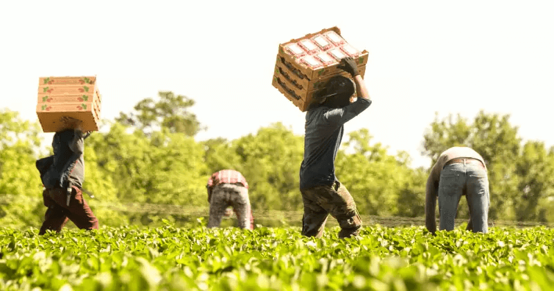 Heat Outdoor Workers