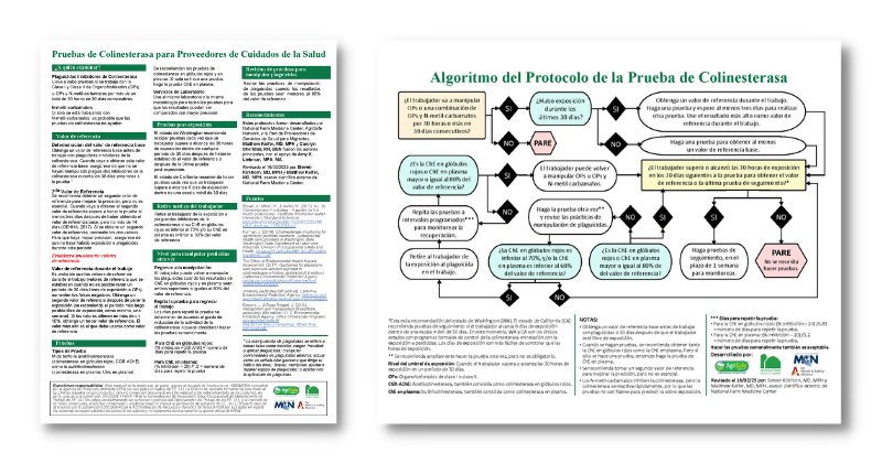Protocolos de las pruebas de colinesterasa (ChE) y su algoritmo para proveedores de cuidados de salud