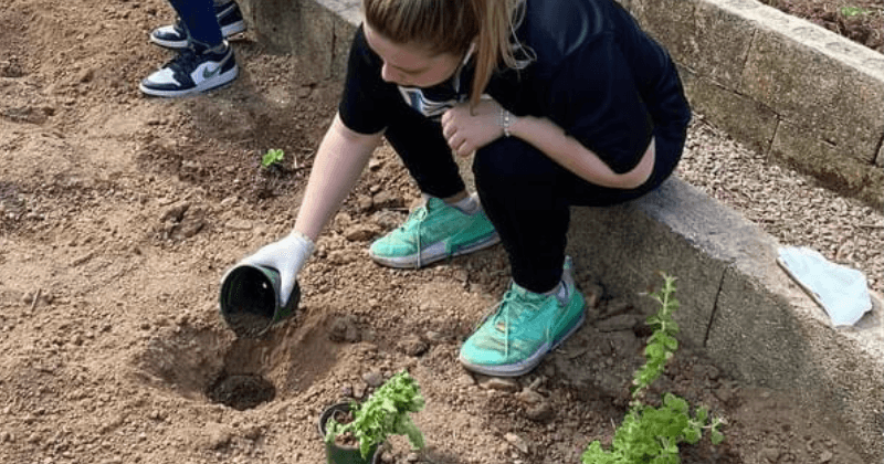 Participant adding plants to garden