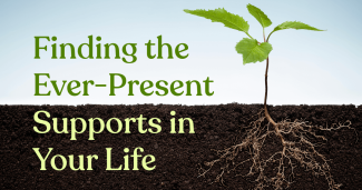 Finding the Ever-Present Supports in Your Life